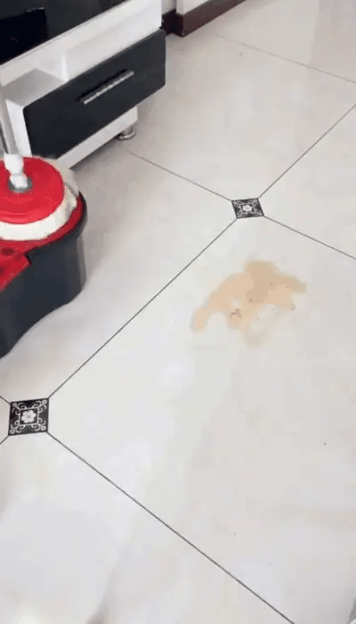 360 Spin Cleaning Mop